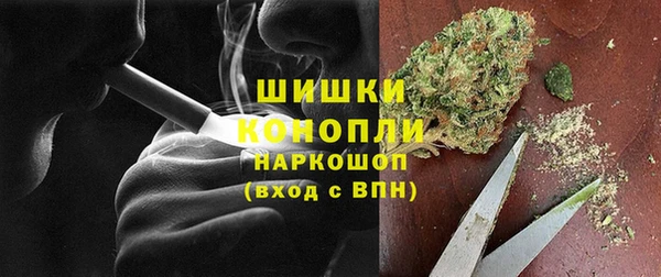 индика Балахна